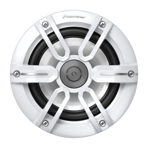 PIONEER TS ME650FS Морская акустика 16 см.