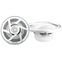 PIONEER TS MR1600 Морская акустика 16 см