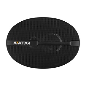 AVATAR XBR-6913 Коаксиальная акустика 6х9"
