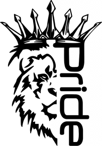 Наклейка большая Pride