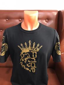 Футболка Pride (Лев) черная