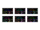 AURA AMD-782DSP