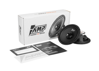 AMP PROMO FR65 v3