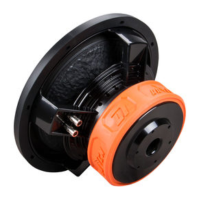 DL Audio Raven 12