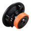 DL Audio Raven 12