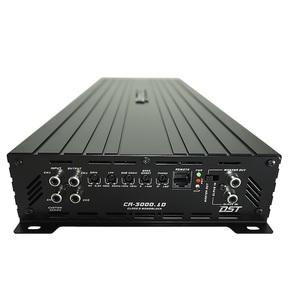 Dynamic State CA-3000.1D 1-канальный усилитель