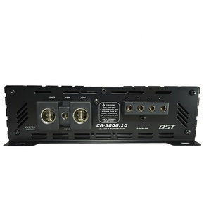 Dynamic State CA-3000.1D 1-канальный усилитель