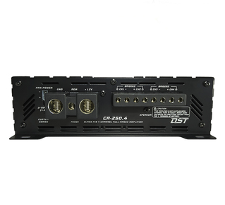 Dynamic State CA-250.4 CUSTOM Series 4-канальный усилитель