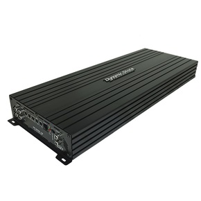 Dynamic State CA-3000.1D 1-канальный усилитель